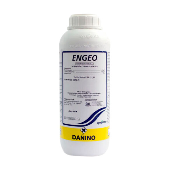 Engeo