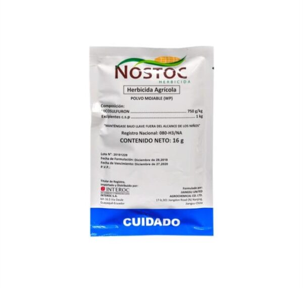 Nostoc